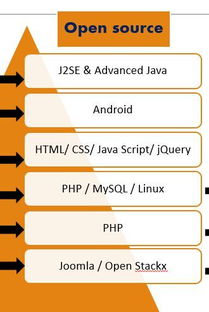 大學(xué)軟件工程專業(yè)中的外包服務(wù)分方向 機(jī)遇、挑戰(zhàn)與人才培養(yǎng)路徑